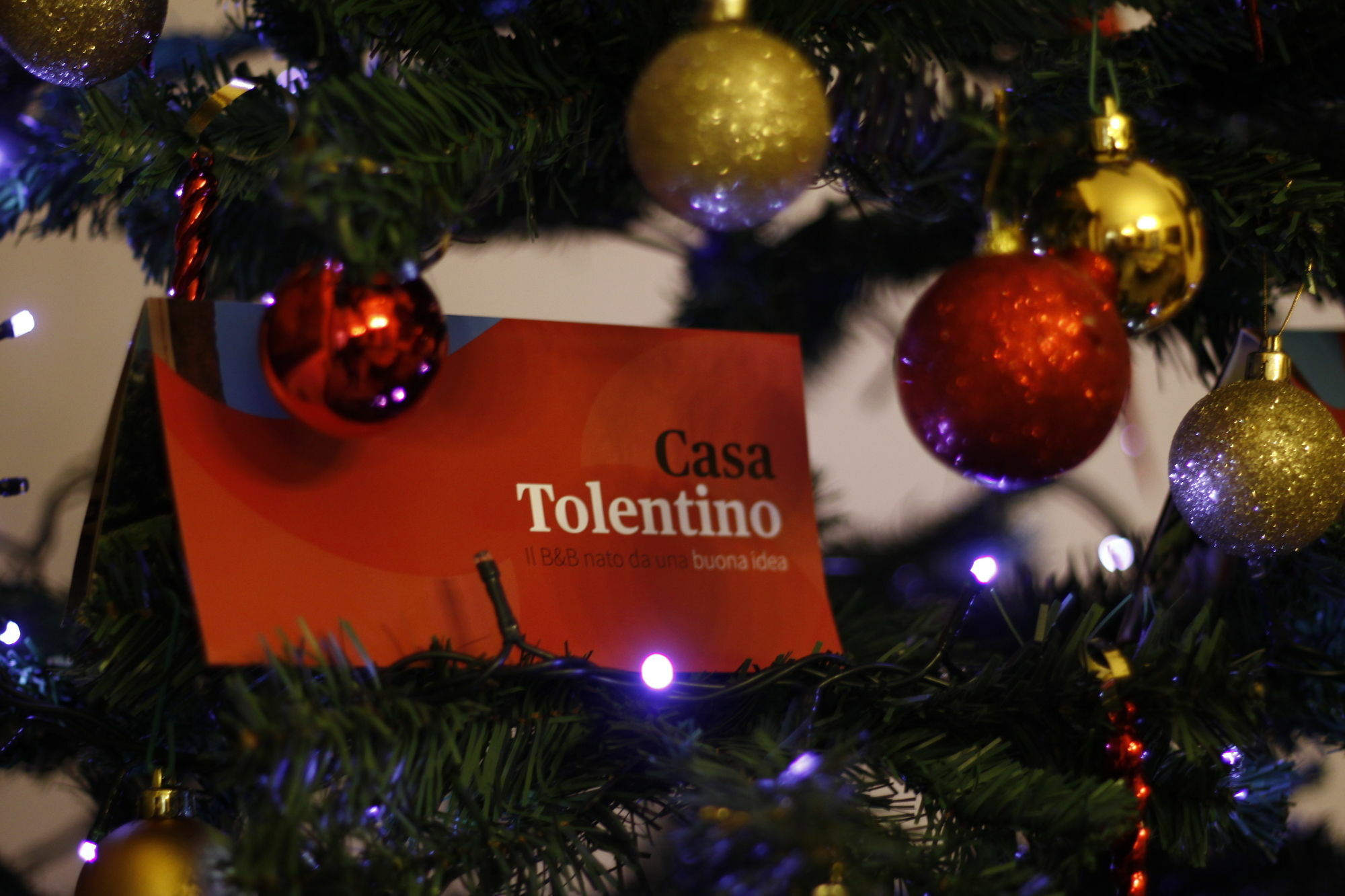 Casa Tolentino Ξενοδοχείο Νάπολη Εξωτερικό φωτογραφία